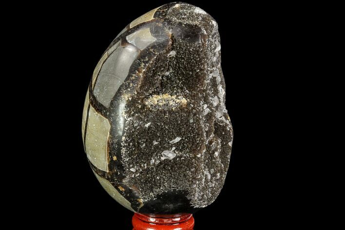 Septarian Dragon Egg Geode - Black Crystals #109967